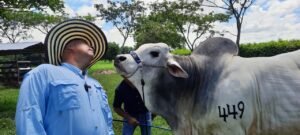 Mundo del Campo (20)