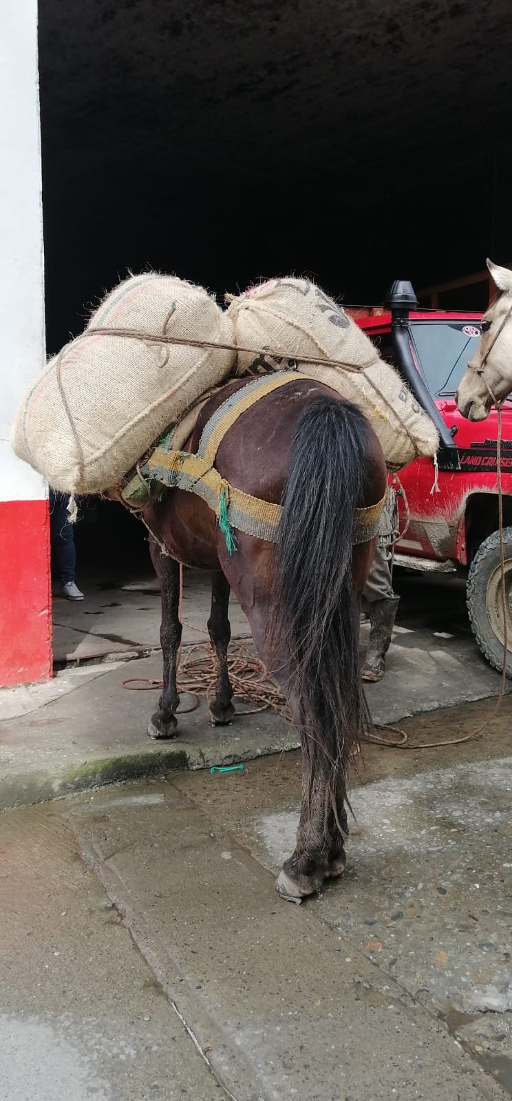 Mundo del Campo (68)