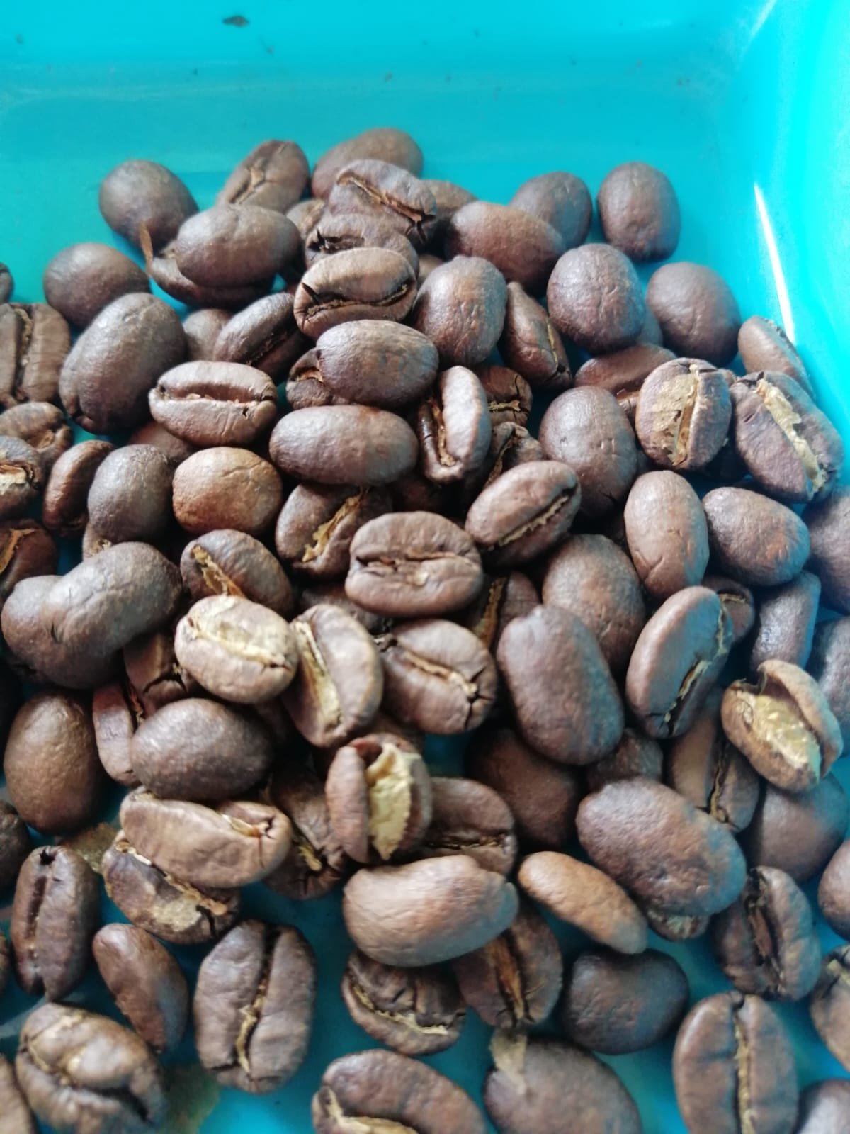 Mundo del Campo (70)