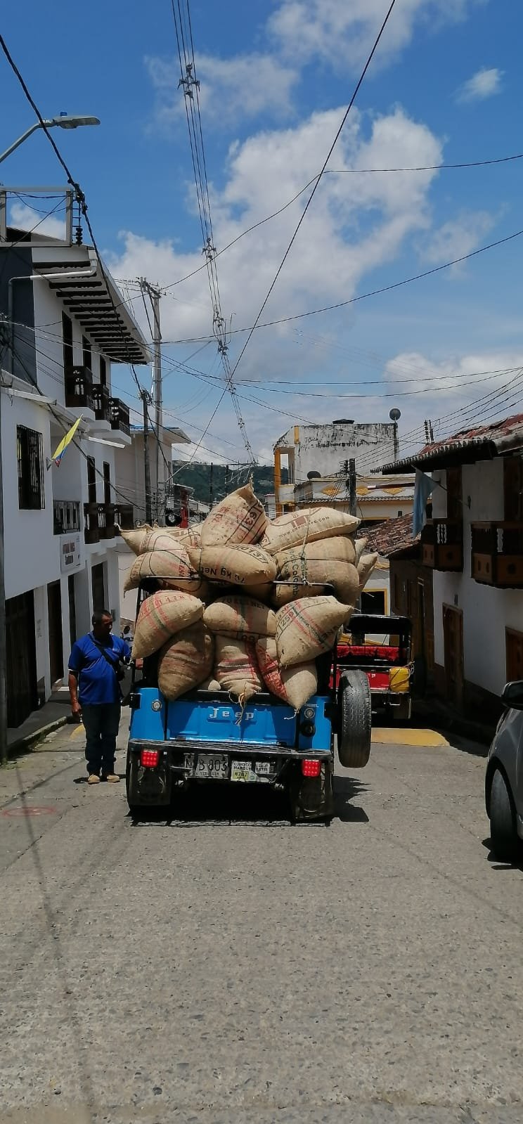 Mundo del Campo (71)