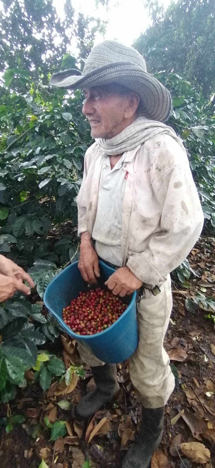 Mundo del Campo (73)