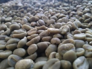 Mundo del Campo (75)