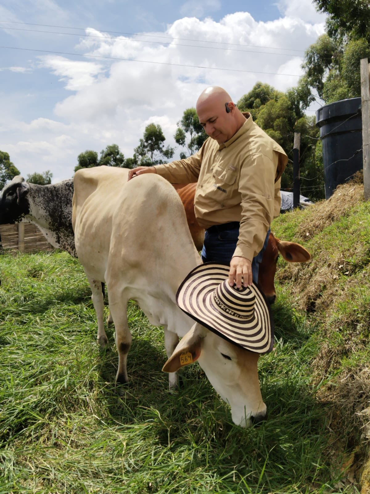 Mundo del Campo (86)